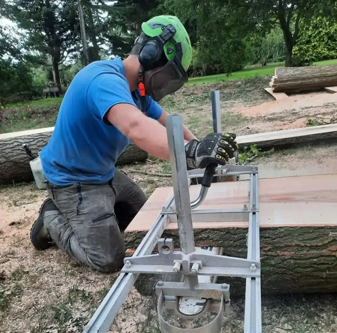 Local Tree Surgeon Exmouth, Honiton, Sidmouth