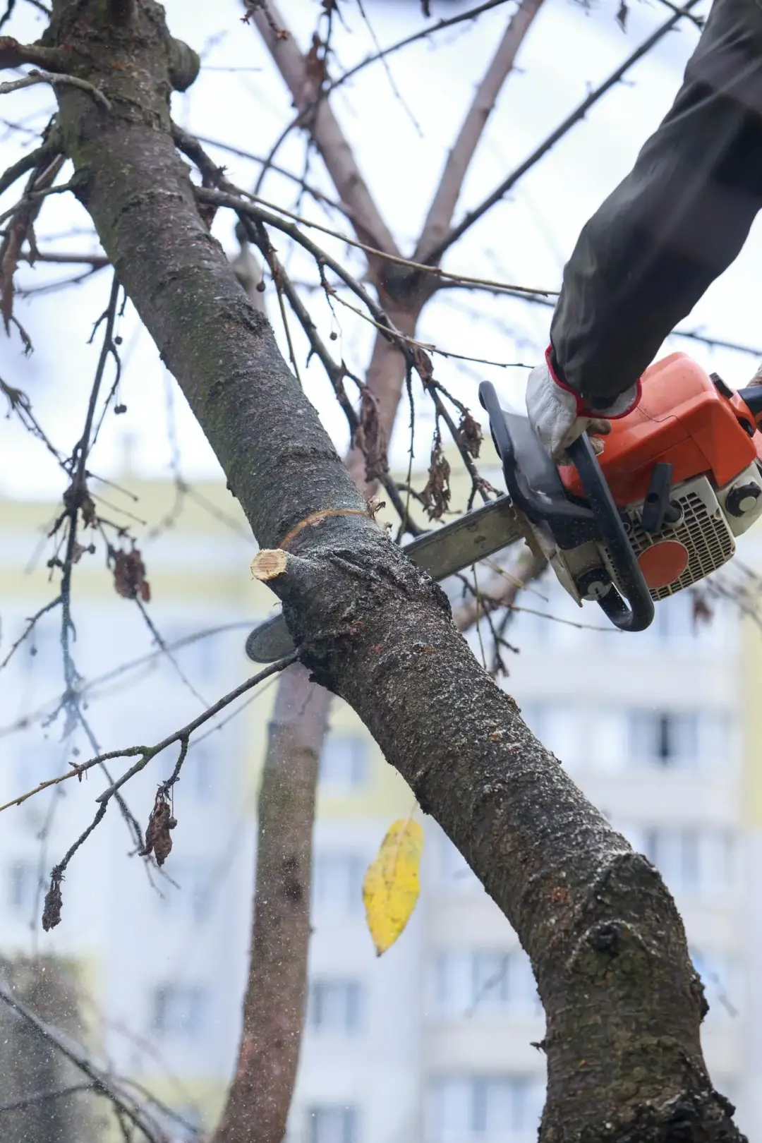 Why Crown Reduction Is Not a One-Time Task