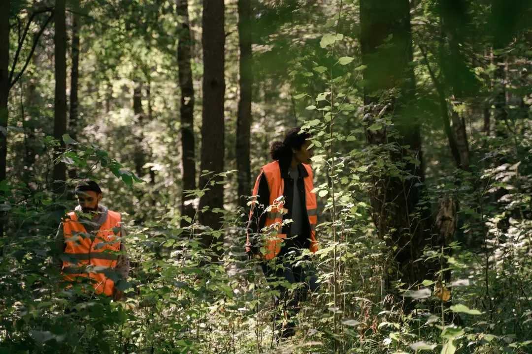 Forest Landowners and Conservation Groups