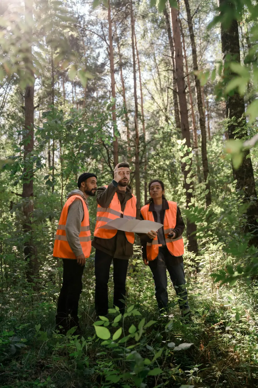 Checking Forests Regularly