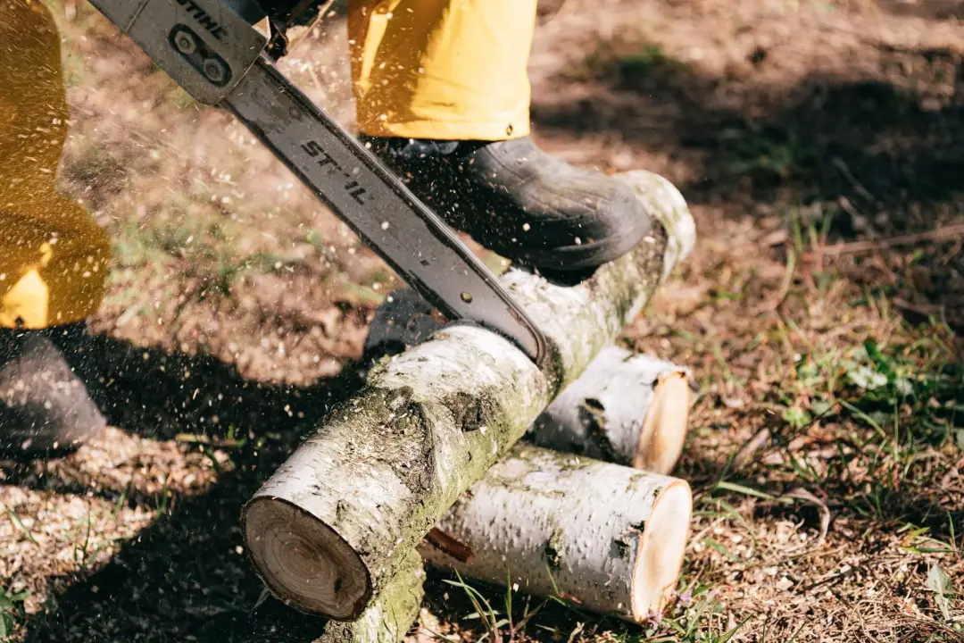 Tree Cutting and Dismantling Equipment